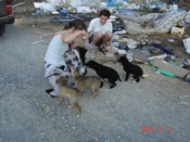 six small puppies at the garbage place